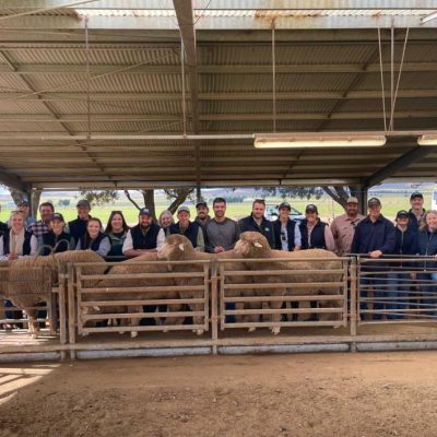 Global Sheep Production Forum Australia - August 2024