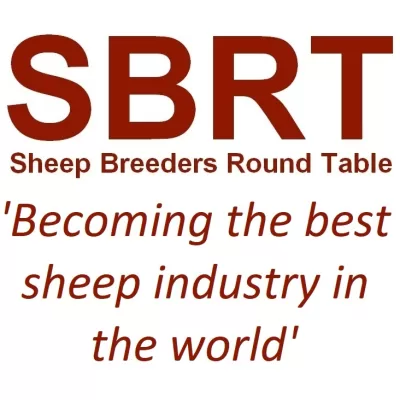 SBRT 2019