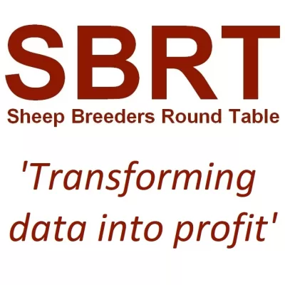 SBRT 2013