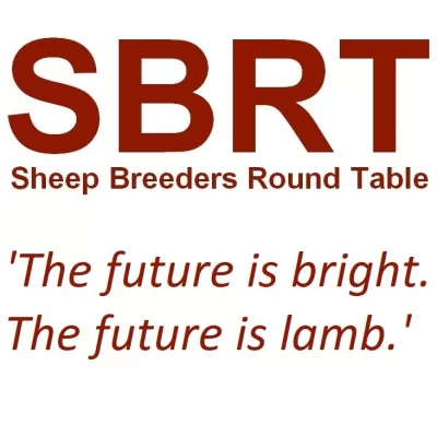 SBRT 2011