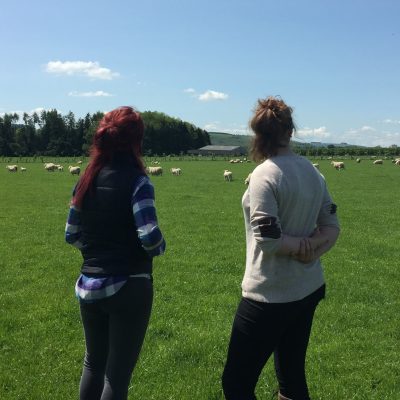Jobs & Work Experience