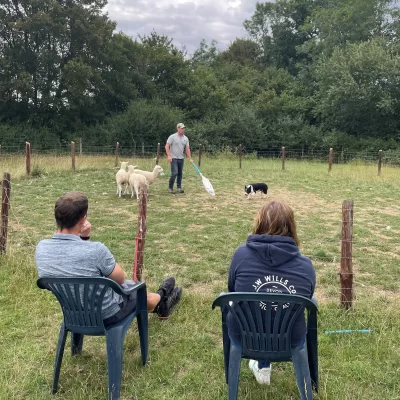 Getting the best from your sheepdog - July 2023 with ISDS (Suffolk)