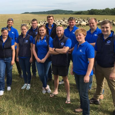 2017 Group