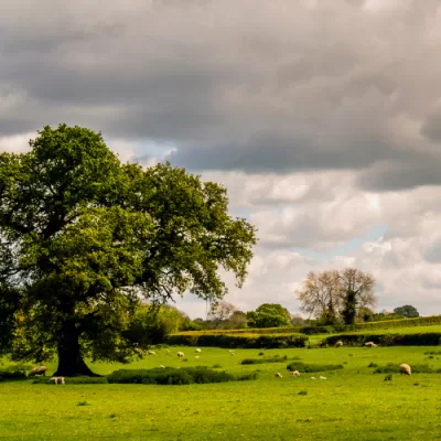 Future of Farming