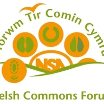 Welsh Commons Forum