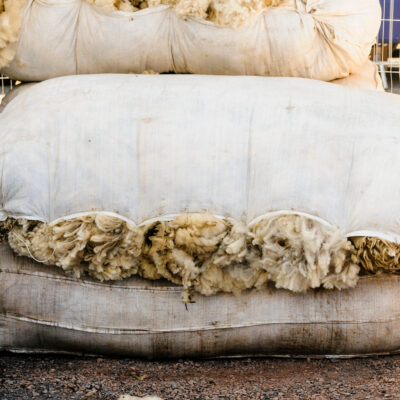 NSA & British Wool shearing workshop (North) - Sept 2025
