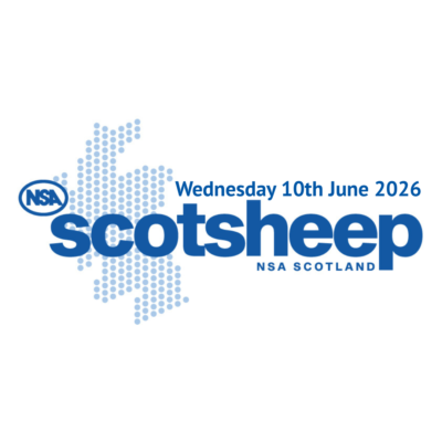 NSA Scotsheep