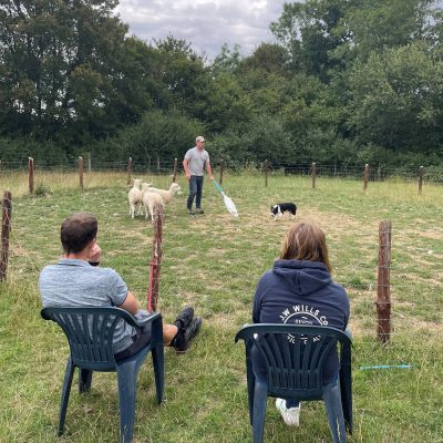Getting the best from your sheepdog with ISDS - July 2023
