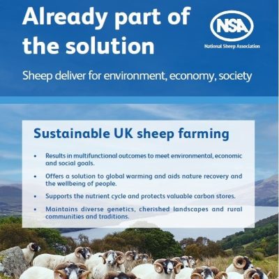 Already part of the solution - sheep farming and climate change