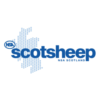 NSA Scotsheep