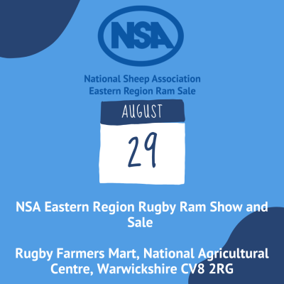 NSA Eastern Region Rugby Ram Show and Sale