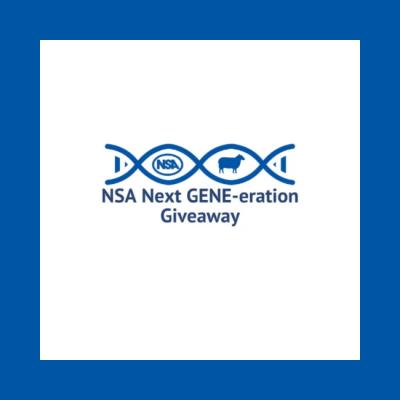 NSA Next GENE-eration