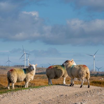 NSA position of funding structures for land-based renewable energy production