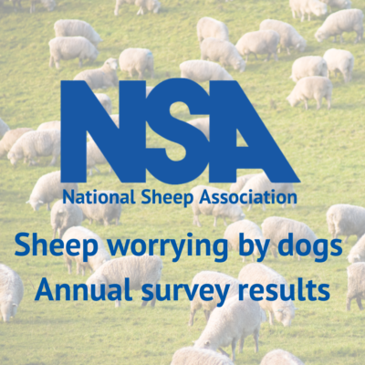 Survey Results