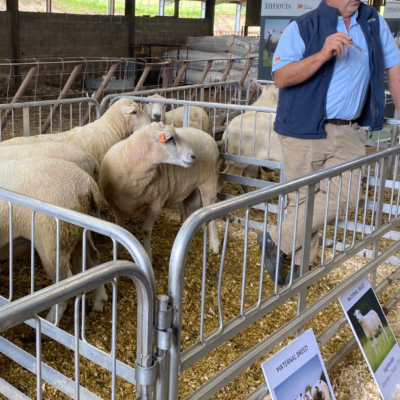 NSA Research