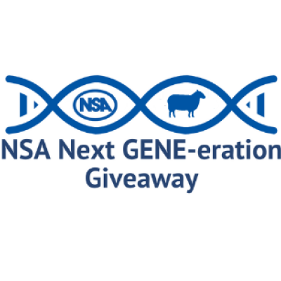 NSA Next GENE-eration