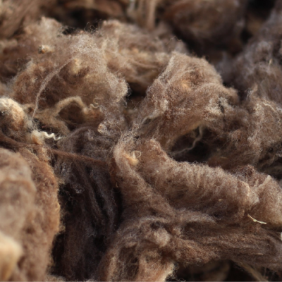 The Wonders of Wool