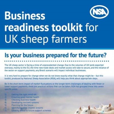 Business Readiness Toolkit