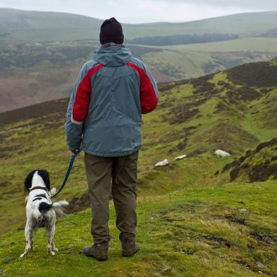 2023 Sheep Worrying by Dogs Survey