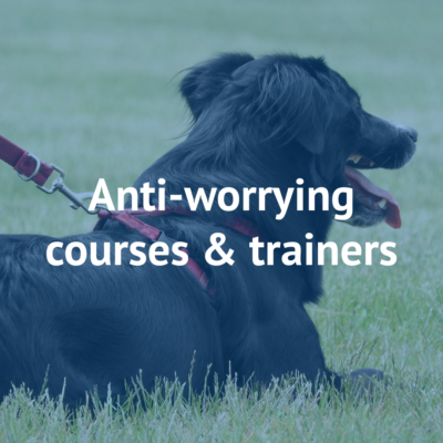 Sheep worrying avoidance courses