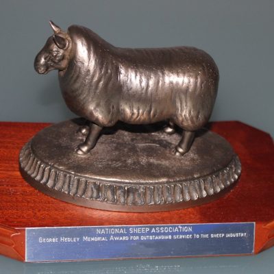 NSA George Hedley Memorial Award for Outstanding Contrib.