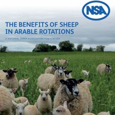 The benefit of sheep in arable rotations