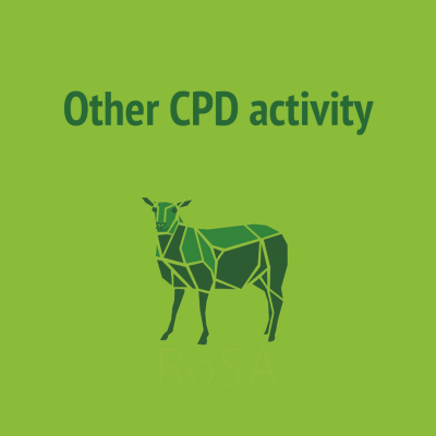 Other CPD activity