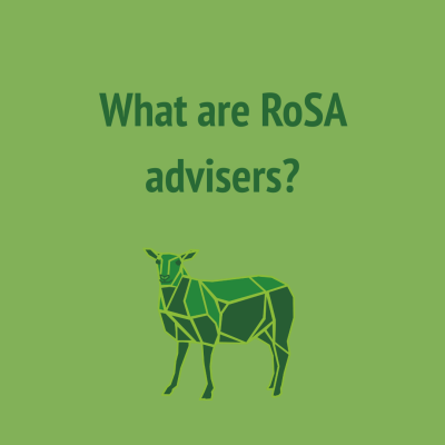 What are RoSA advisers?