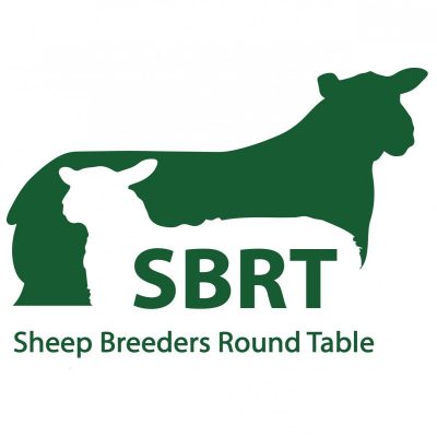 SBRT