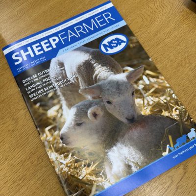 Sheep Farmer Magazine