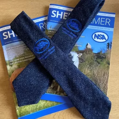 NSA 100% British Wool Tie