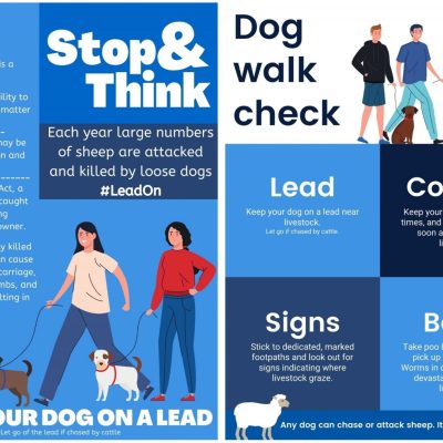 Dog Control Signs