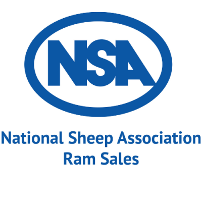 NSA Ram Sales