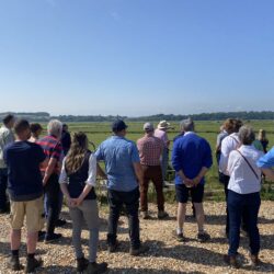 Farm walk