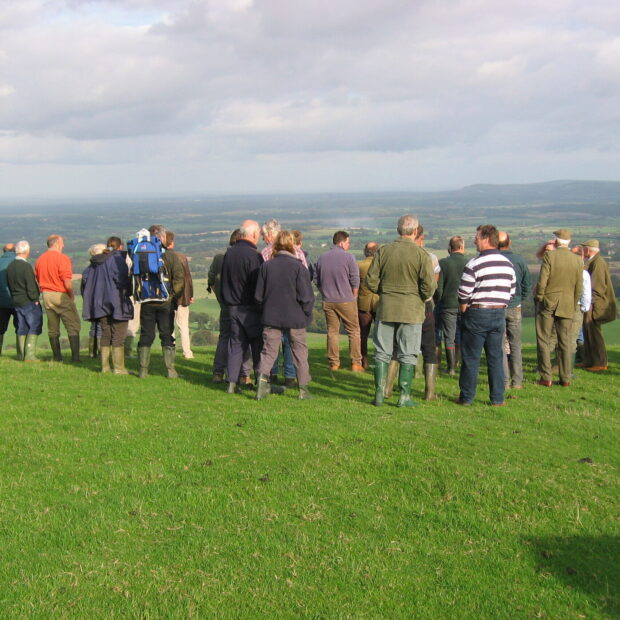South East farm walk