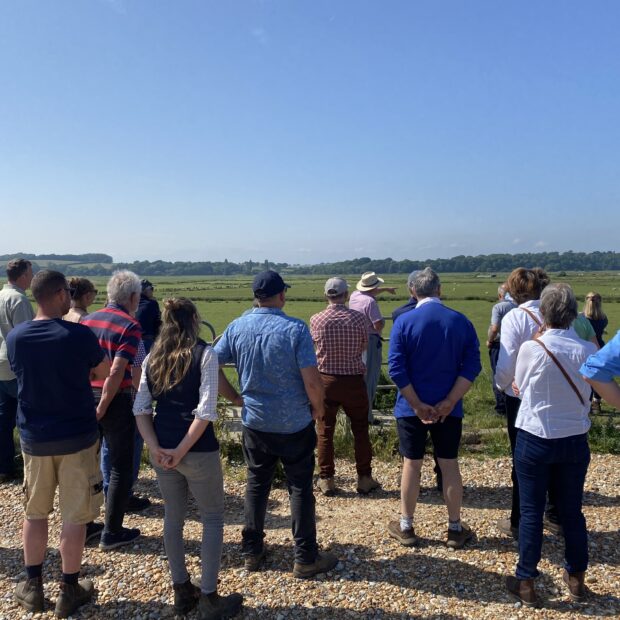 Farm walk