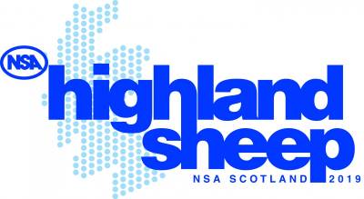 NSA Highland Sheep